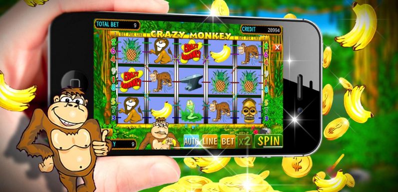 Crazy Monkey Slot: Win and have Fun